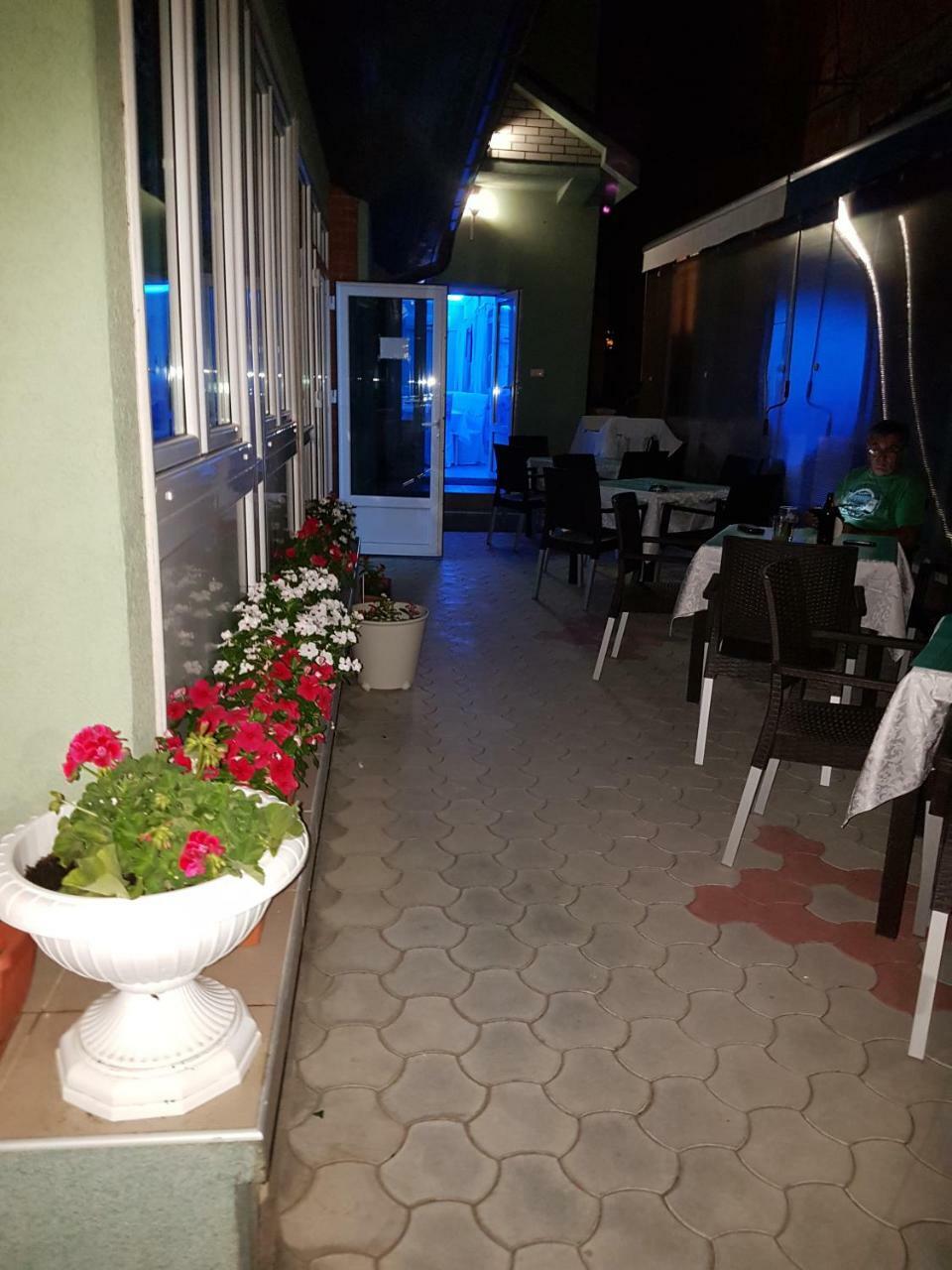 Bed and Breakfast Golden Danube Veliko Gradište Exterior foto