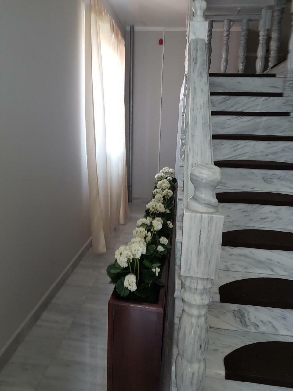 Bed and Breakfast Golden Danube Veliko Gradište Exterior foto